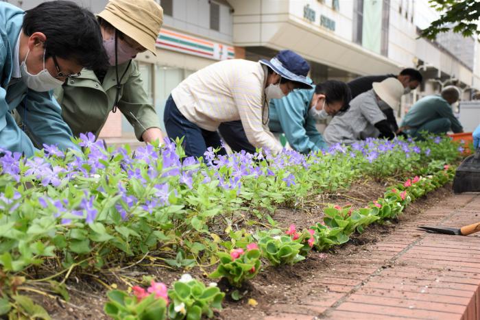 JR桑園駅前広場の花植え