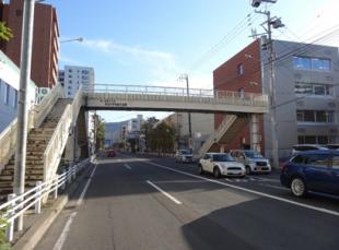 写真：円山小学校前横断歩道橋