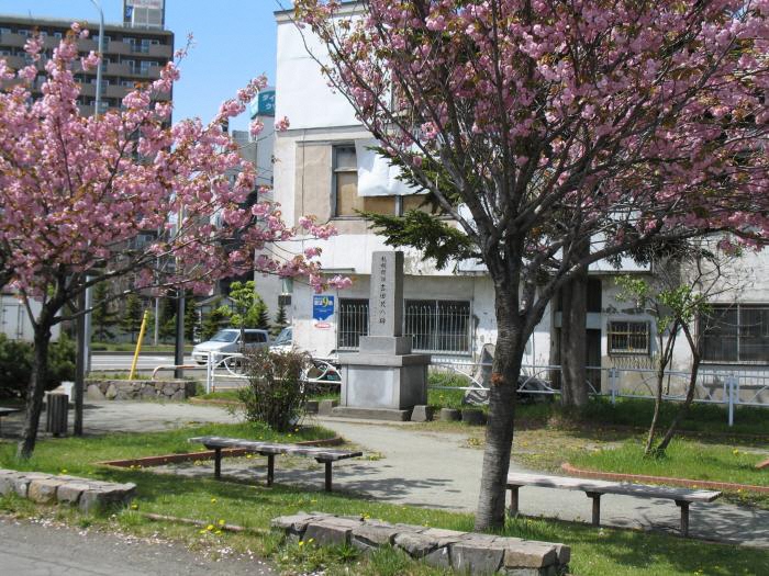 吉田茂八碑と桜