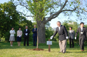 「環境首都・札幌」宣言記念樹と上田市長の写真