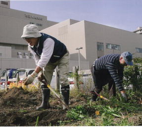 市立札幌病院ガーデニング活動の写真