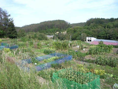滝野市民農園の写真
