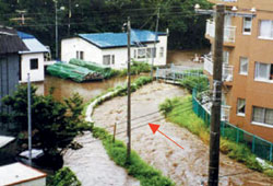 平成12年7月の洪水被害〔望月寒川流域〕