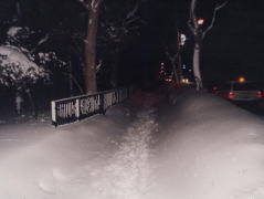 歩道除雪前の状況