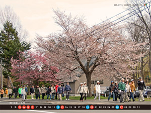 画像：平成24年5月清田ふれあいカレンダー