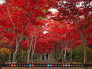 画像：平成24年11月清田ふれあいカレンダー