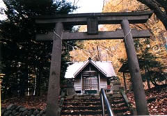 白川神社の写真