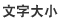 文字大小