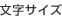 文字サイズ