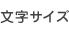 文字サイズ