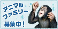 アニマルファミリー募集中