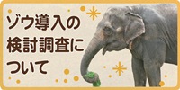ゾウ導入の検討調査について