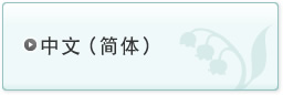 中文（简体）