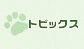 トピックス