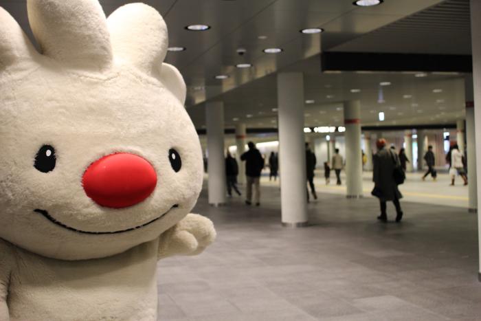 札幌駅前通り地下歩行空間にいる、ていぬの画像