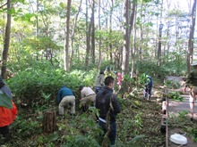 10月19日星置緑地保全作業笹刈作業
