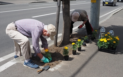 町内の方による花植え