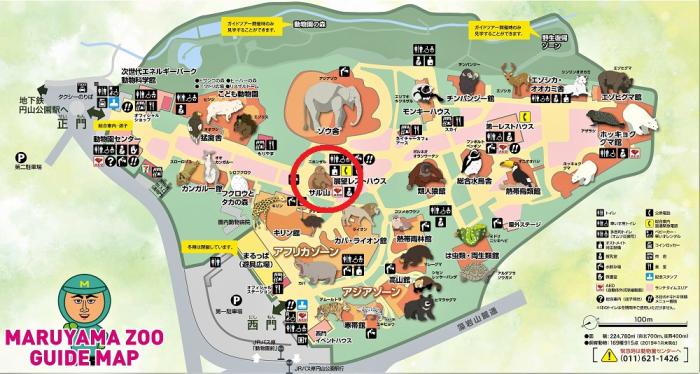 円山動物園マップ・ニホンザル
