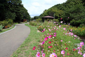 青葉中央公園