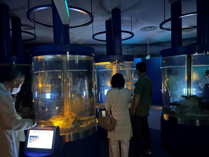 サンピアザ水族館での夜の水族館見学の様子