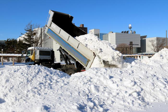 雪を搬入する様子