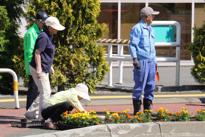 花植えの様子