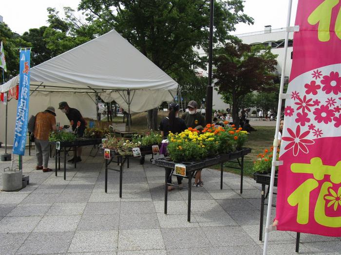 報恩学園