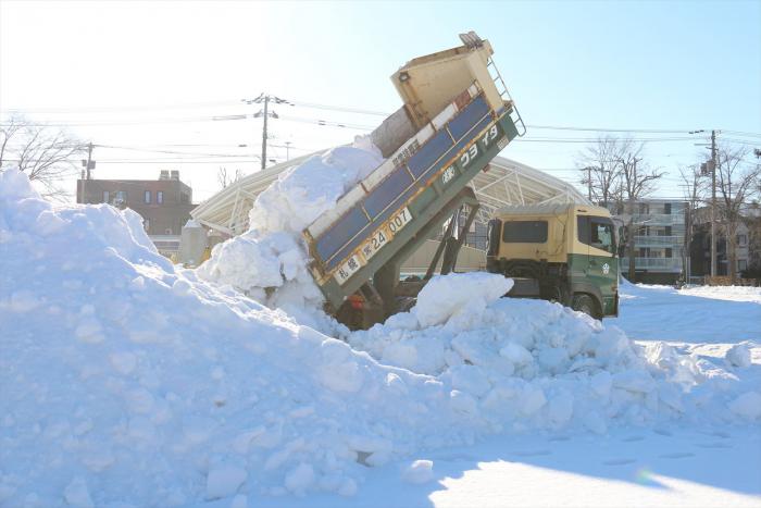 雪搬入の様子