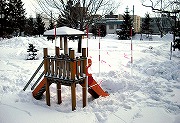 遊具の保護