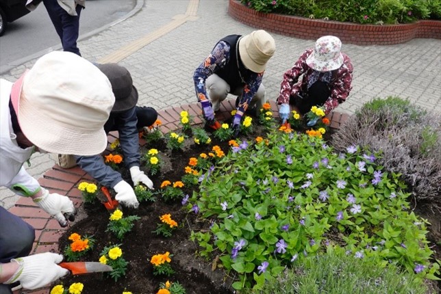JR桑園駅前広場の花植え