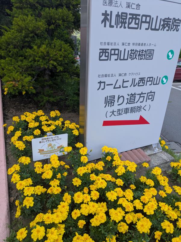 札幌西円山病院フラワーピック写真