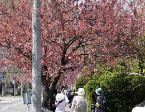 令和6年度の様子