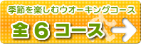 季節を楽しむウオーキングコース