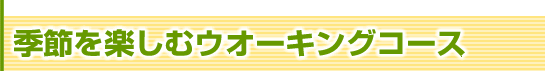 季節を楽しむウォーキングコース