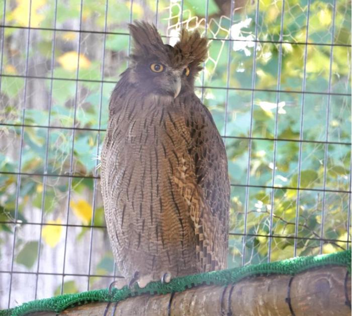 動物園2
