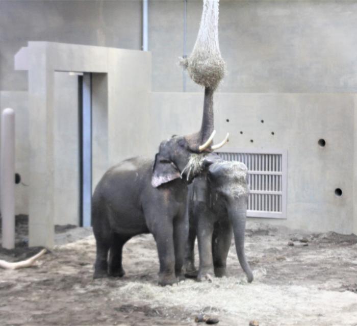 動物園11