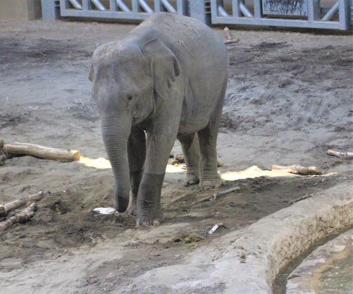動物園12