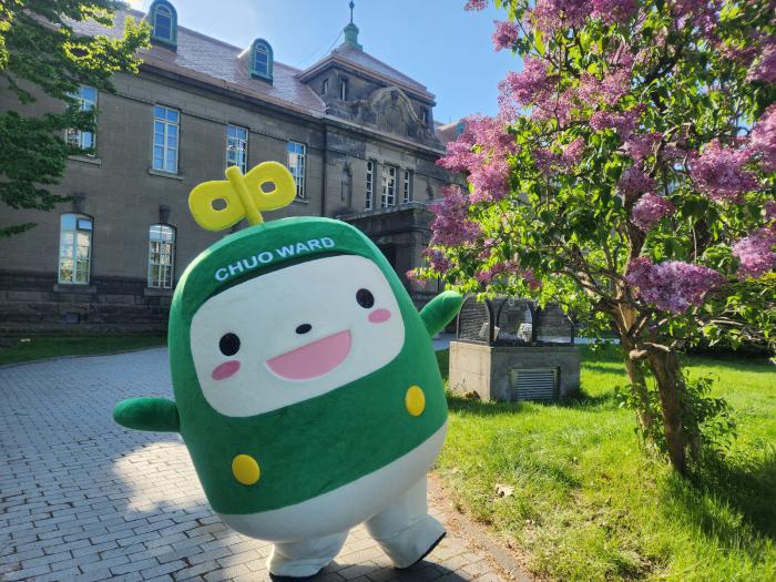 札幌市資料館前でライラックと中ウォークん
