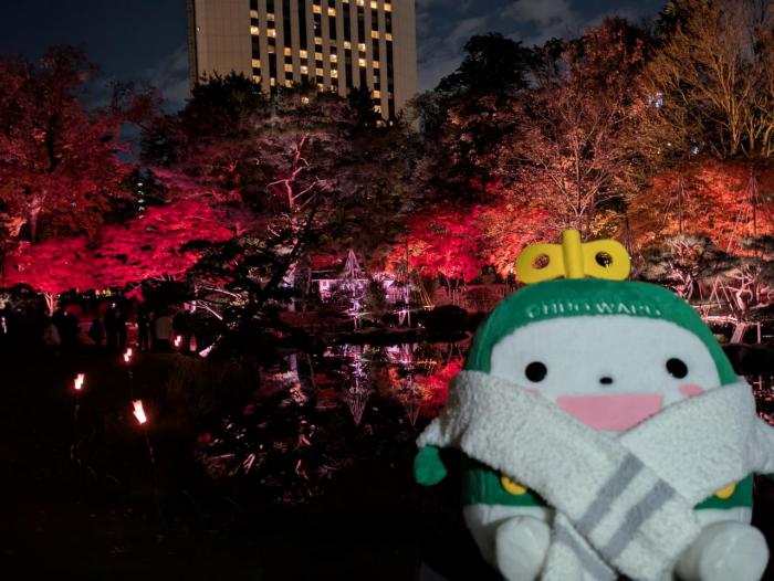 紅葉ライトアップと中ウォークん