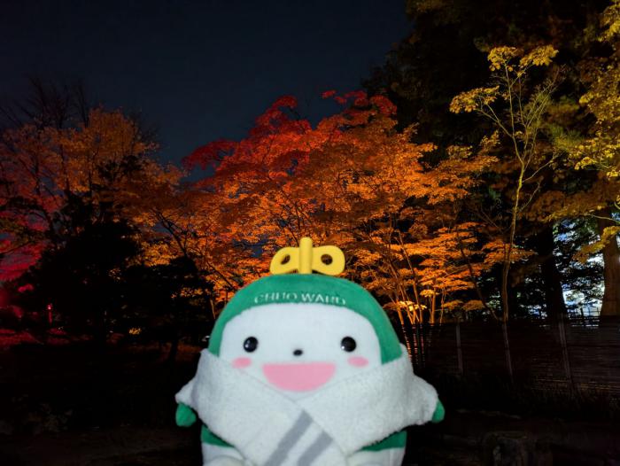 紅葉と中ウォークん2枚目