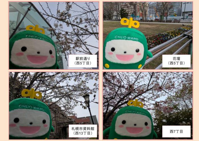 大通公園に春探し