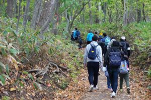 登山道の様子