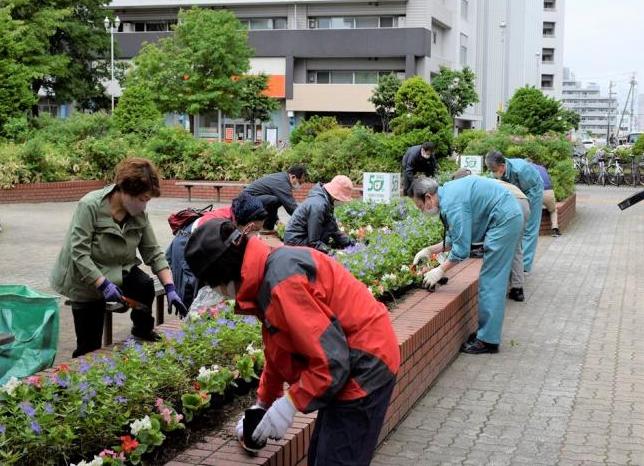 花植えの様子1