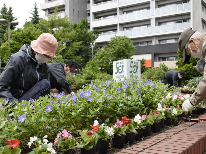 花植えの様子2