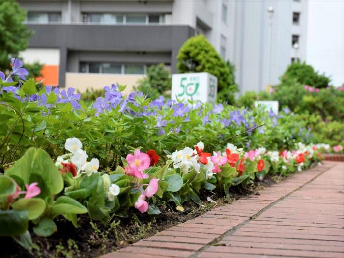 花植え後花壇2