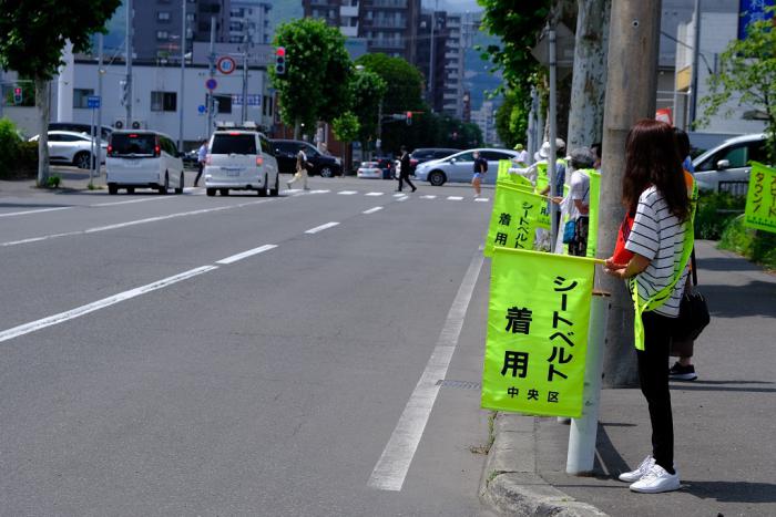 旗の波運動の様子