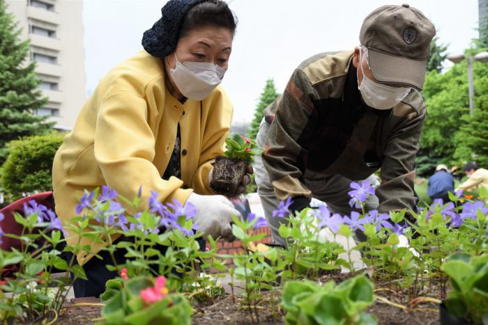 花植えの様子1