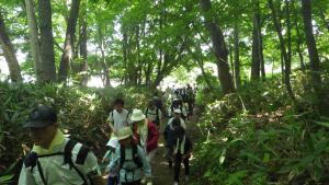 登山中の参加者の様子