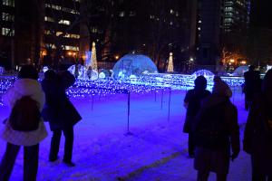 イルミネーションウオーキングを楽しむ参加者