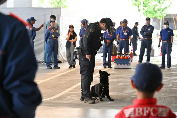 災害救助犬の訓練を見学する参加者